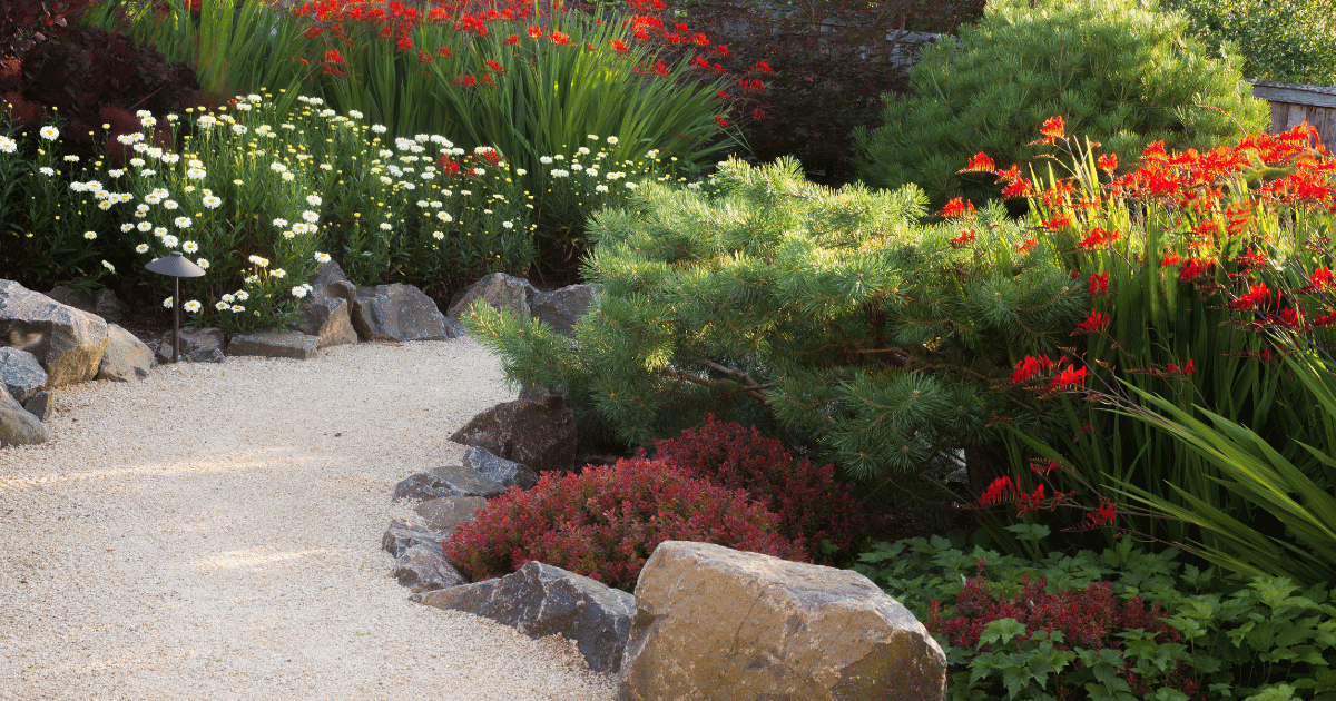 Aussie White Sand used for garden path