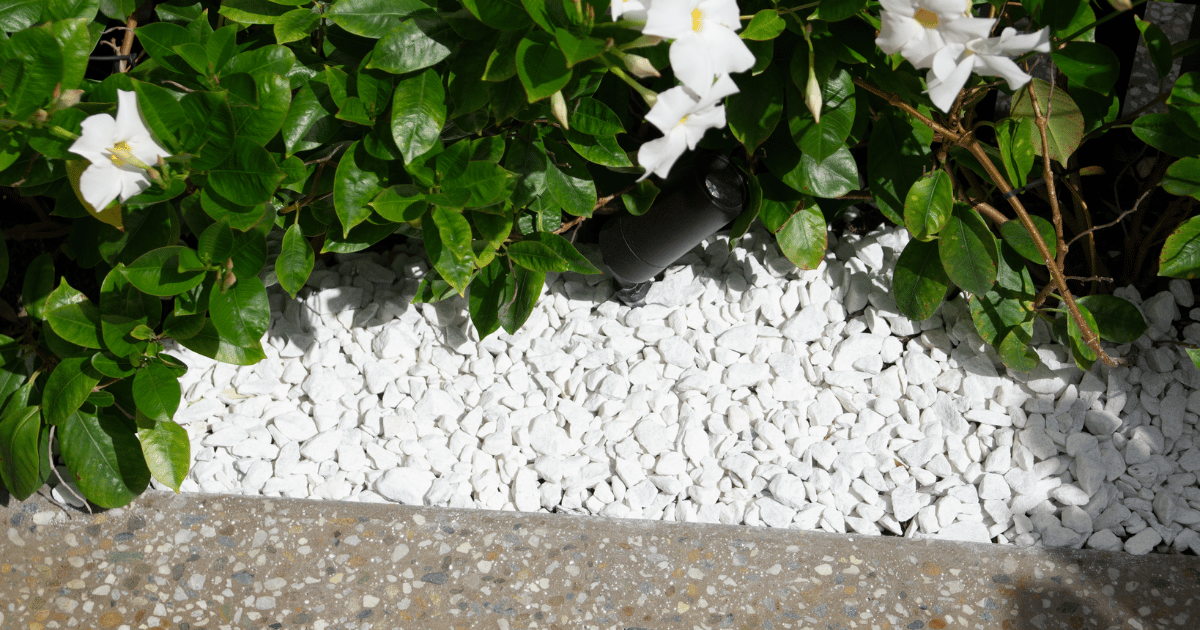 White Garden stones under flowers